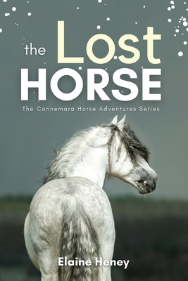 The Lost Horse - Book 6 in the Connemara Horse Adventure Series for Kids - Elaine Heney