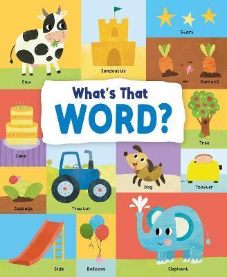 What's That Word?: 120 Wonderful Words - Emily Kington