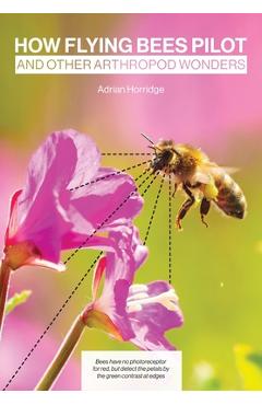 Coperta cărții 'How Flying Bees Pilot, and other arthropod wonders - Adrian Horridge'