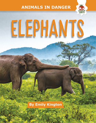 Elephants - Emily Kington