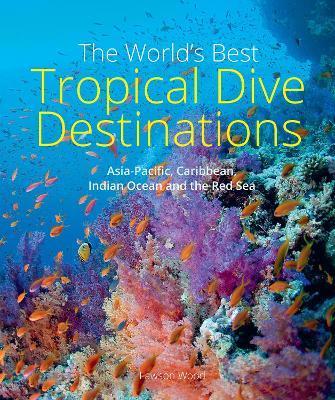 The World's Best Tropical Dive Destinations - Lawson Wood