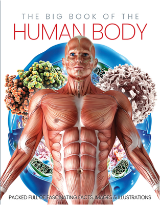 The Big Book of the Human Body - Katharine Marsh