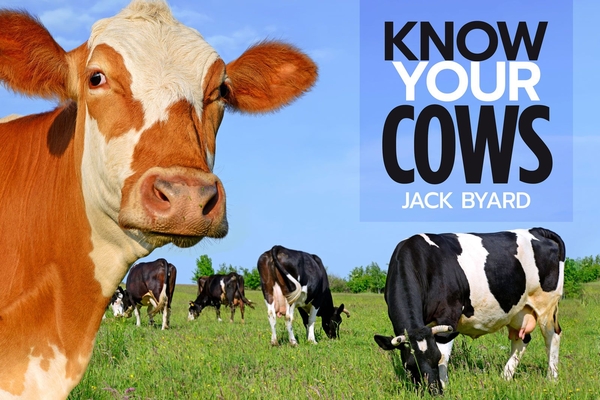 Know Your Cows - Jack Byard