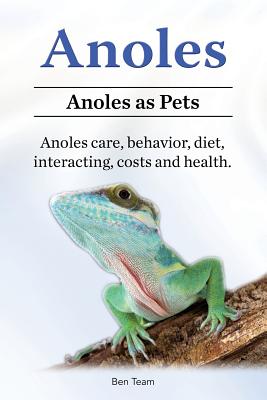 Anoles. Anoles as Pets. Anoles care, behavior, diet, interacting, costs and health. - Ben Team