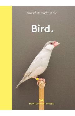 New Photography of the Bird - Gemma Padly