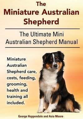 The Miniature Australian Shepherd. The Ultimate Mini Australian Shepherd Manual Miniature Australian Shepherd care, costs, feeding, grooming, health a - Asia Moore