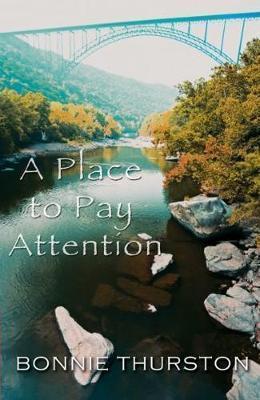 A Place to Pay Attention - Bonnie Thurston