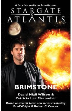 STARGATE ATLANTIS Brimstone - David Niall Wilson