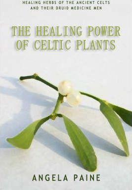 The Healing Power of Celtic Plants: Their History, Their Use, and the Scientific Evidence That They Work Men - Angela Paine