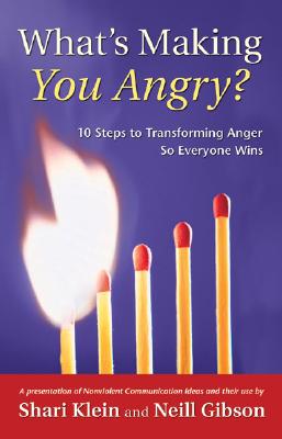What's Making You Angry?: 10 Steps to Transforming Anger So Everyone Wins - Shari Klein