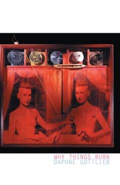 Poza produsului Why Things Burn - Daphne Gottlieb
