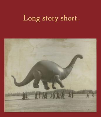 Long Story Short - Jeffrey Fraenkel