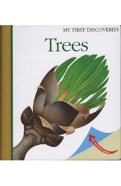 Poza produsului Trees: Volume 19 - Christian Broutin