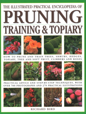 Illustrated Practical Encyclopedia of Pruning, Training and Topiary: How to Prune and Train Trees, Shrubs, Hedges, Topiary, Tree and Soft Fruit, Climb - Richard Bird