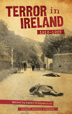 Terror in Ireland: 1916-1923 - David Fitzpatrick