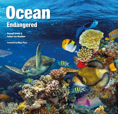Ocean: Endangered - Russell Arnott