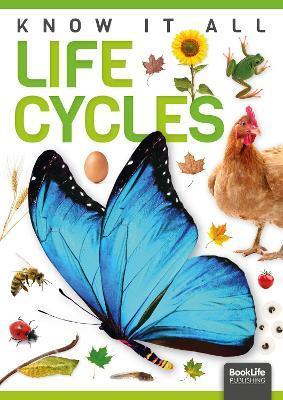 Life Cycles - Louise Nelson
