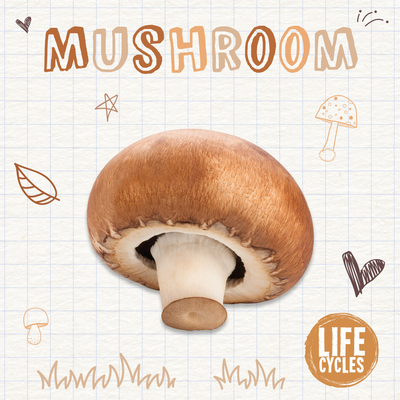 Mushroom - Brenda Mchale