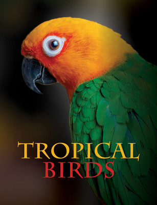 Tropical Birds - Tom Jackson