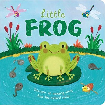 Nature Stories: Little Frog: Padded Board Book - Igloobooks
