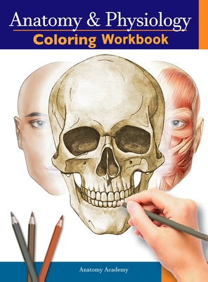 Anatomy and Physiology Coloring Workbook: The Essential College Level Study Guide Perfect Gift for Medical School Students, Nurses and Anyone Interest - Anatomy Academy