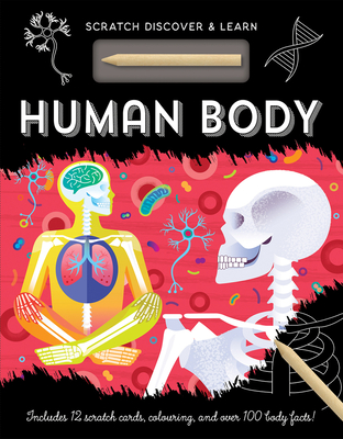 Human Body - Amanda Shufflebotham
