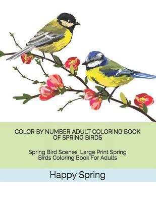 Coperta cărții 'Color by Number Adult Coloring Book of Spring Birds: Spring Bird Scenes, Large Print Spring Birds Coloring Book for'