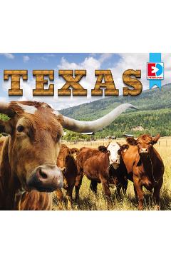 Coperta cărții 'Texas - Maria Koran'