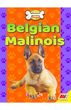 Coperta cărții 'Belgian Malinois - Katie Gillespie'