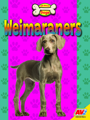 Weimaraners - Heather Kissock