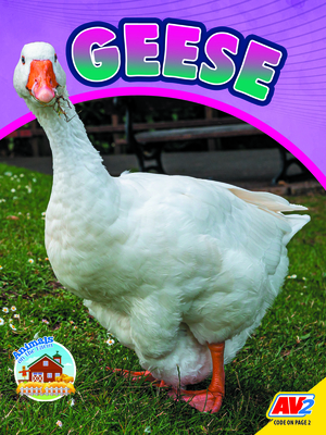 Geese - Sierra Wilson