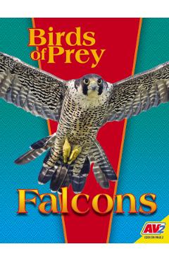 Coperta cărții 'Falcons - E. Melanie Watt'