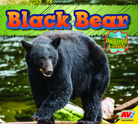 Black Bear - Pamela Mcdowell