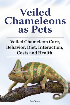 Veiled Chameleons as Pets. Veiled Chameleon Care, Behavior, Diet, Interaction, Costs and Health. - Ben Team