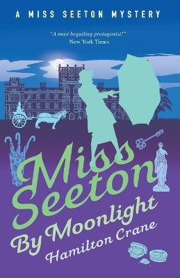 Miss Seeton by Moonlight - Hamilton Crane