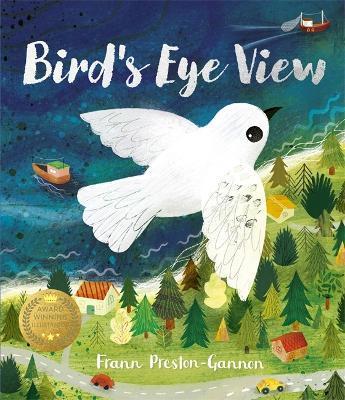 Bird's Eye View - Frann Preston-gannon
