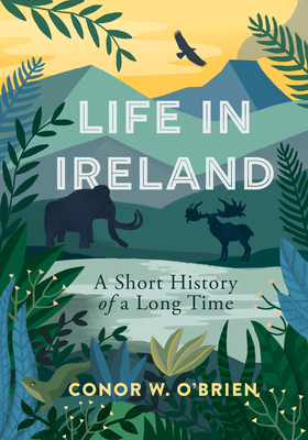 Life in Ireland: A Short History of a Long Time - Conor O'brien