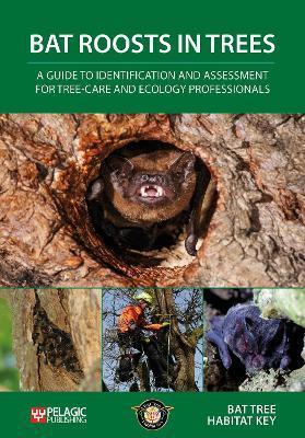 Bat Roosts Trees: Guide Identification - Bat Tree Habitat Key