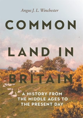 Common Land in Britain: A History from the Middle Ages to the Present Day - Angus J. L. Winchester