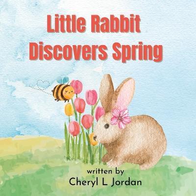 Little Rabbit Discovers Spring: Learn About the Senses - Cheryl L. Jordan
