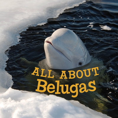 All about Belugas: English Edition - Jordan Hoffman