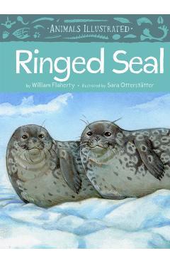 Animals Illustrated: Ringed Seal - William Flaherty