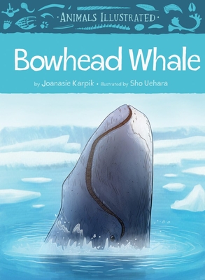 Animals Illustrated: Bowhead Whale - Joanasie Karpik