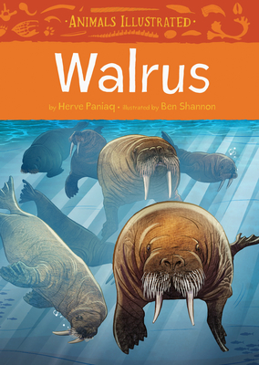 Animals Illustrated: Walrus - Herve Paniaq
