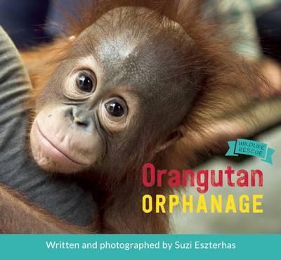 Orangutan Orphanage - Suzi Eszterhas