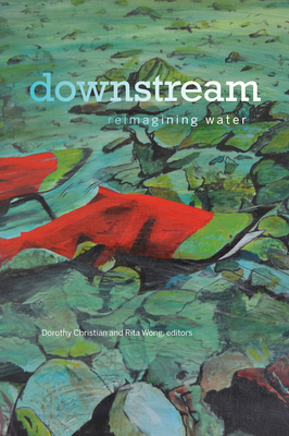Downstream: Reimagining Water - Dorothy Christian