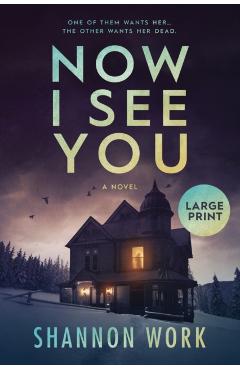 Now I See You - Shannon Work