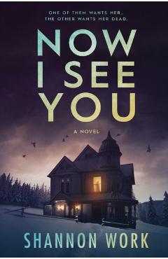 Now I See You - Shannon Work