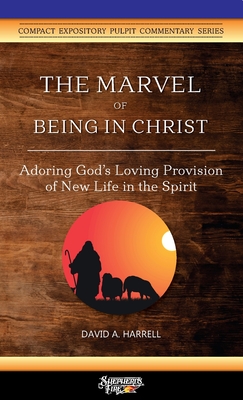 The Marvel of Being in Christ: Adoring God's Loving Provision of New Life in the Spirit - David A. Harrell