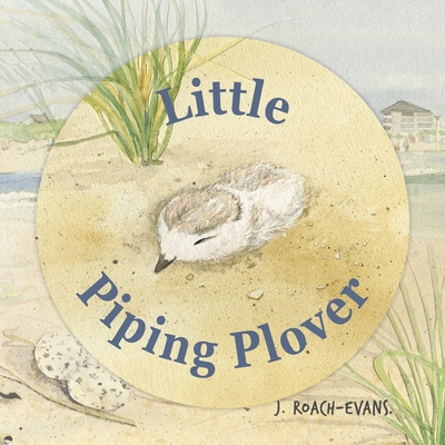 Little Piping Plover - Erin Oliveira